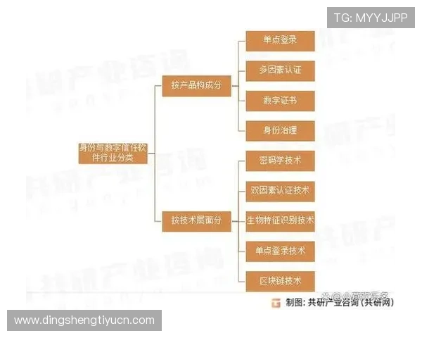 官方地址安全验证流程，确保每次登录都安全可靠